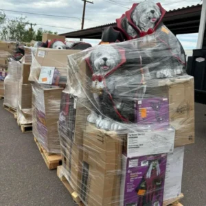 Halloween costumes wholesale pallet